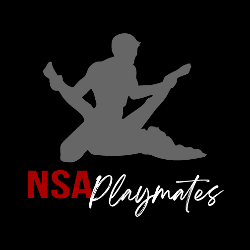 NSA Playmates logo
